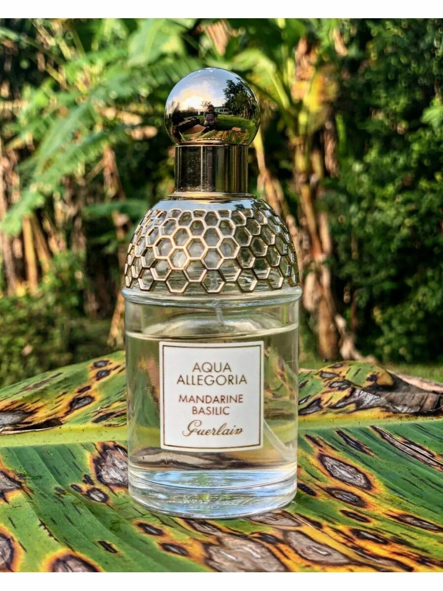 Guerlain Aqua Allegoria Mandarine basilic. Guerlain Aqua Allegoria Mandarine. Духи Aqua Allegoria Mandarine basilic. Герлен Аква аллегория мандарин базилик. Aqua allegoria mandarine basilic туалетная вода