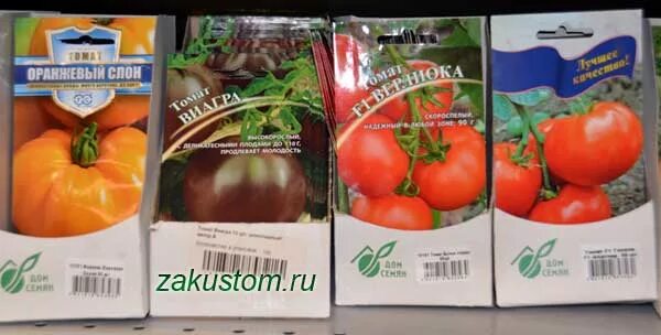 Купить семена помидоров на озоне. Пачка семян помидоров. Семена томатов пачка. Помидоры в пачках семена покажи. Семена помидоров в пачке в магазине.