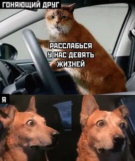 Не гоняйте пацаны вы матерям еще нужны