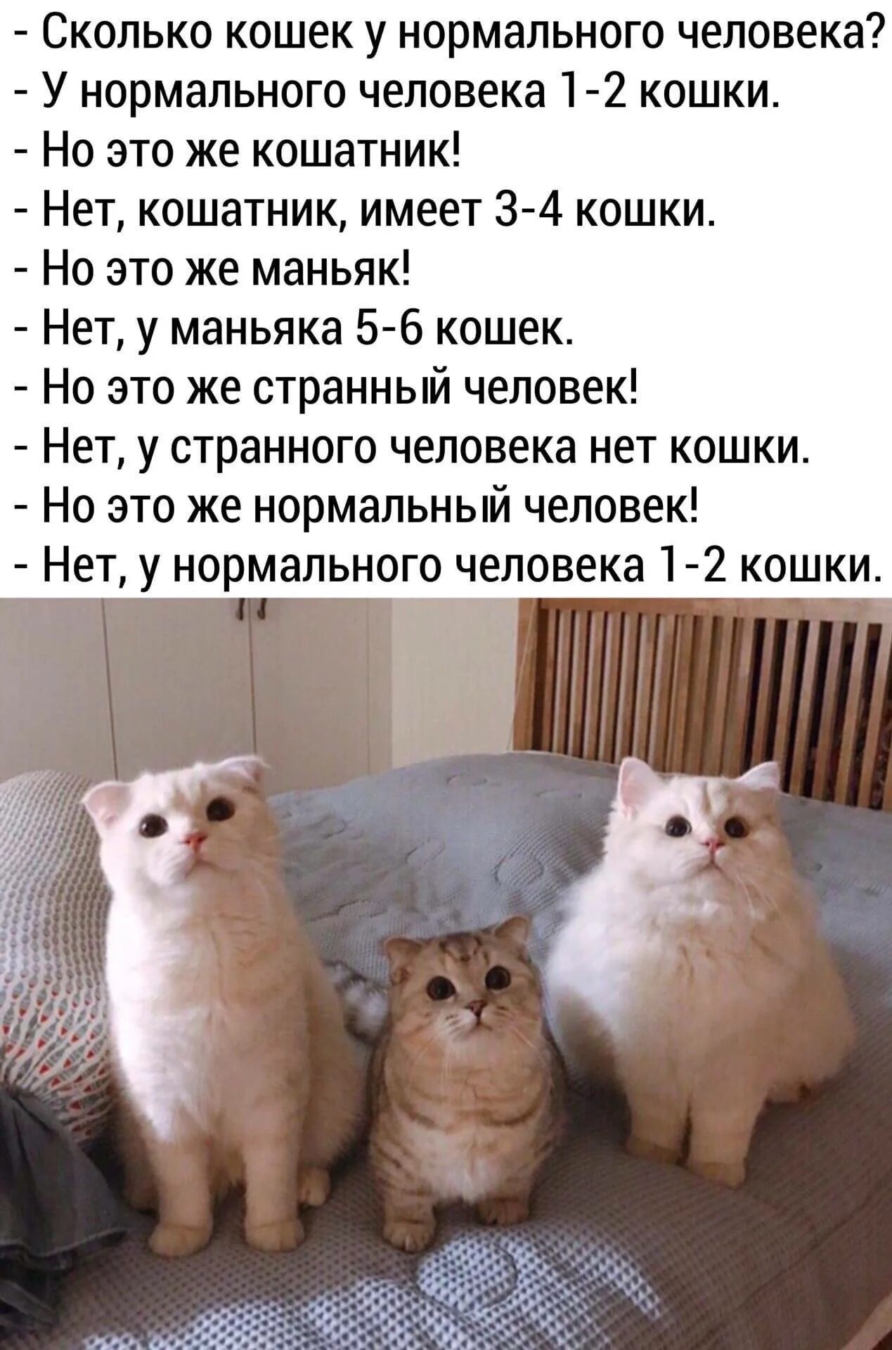 Нет 3 кошки. 1-2 Кота это нормальный человек. Нормальный человек это один кот. Нормальные коты. У нормального человека два кота.