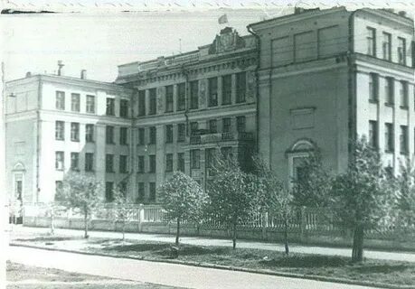 Пнипу березники