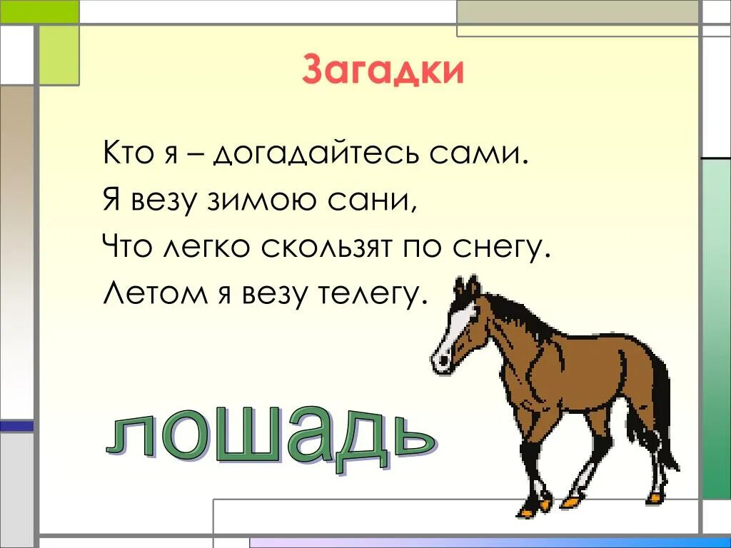 Слово без коня. Загадка. Загадка про лошадь. Разные загадки. Загадка про коня.