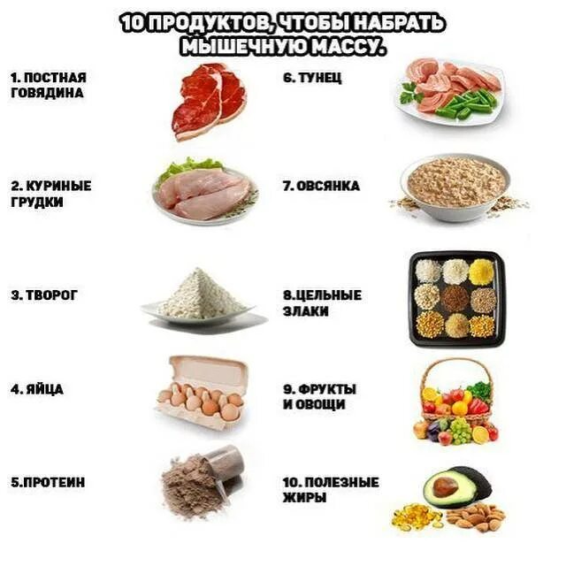 Продукты для набора мышечной массы. Белковые продукты для набора мышечной массы. Как набрать вес. Продукты с углеводами для набора мышечной массы. Можно ли есть и не толстеть