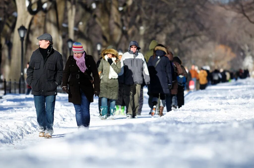 женщины зимой на улице. люди гуляют зимой. обычные люди зима. люди зимой на улице. люди зимой на улице.