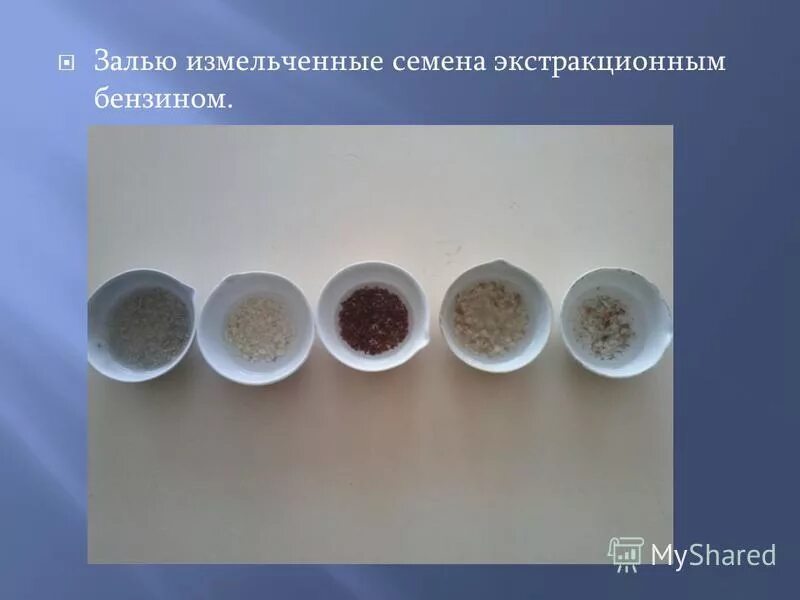 Опыт с элодеей выделение кислорода. Метод высушивания для определения влажности. Опыт горох и вода. Опыт с проростками семян и щёлочью. Экспериментатор измельчил семена.