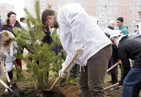 Ярославль профессиональные колледжи