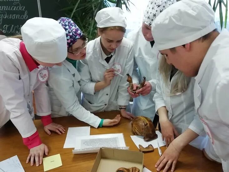 Факультет высшего сестринского образования. Хим корпус рязгму. Рязанский медицинский университет лечебное дело. Студенты рязанского медицинского университета. Рязанский медицинский университет лечебное дело.