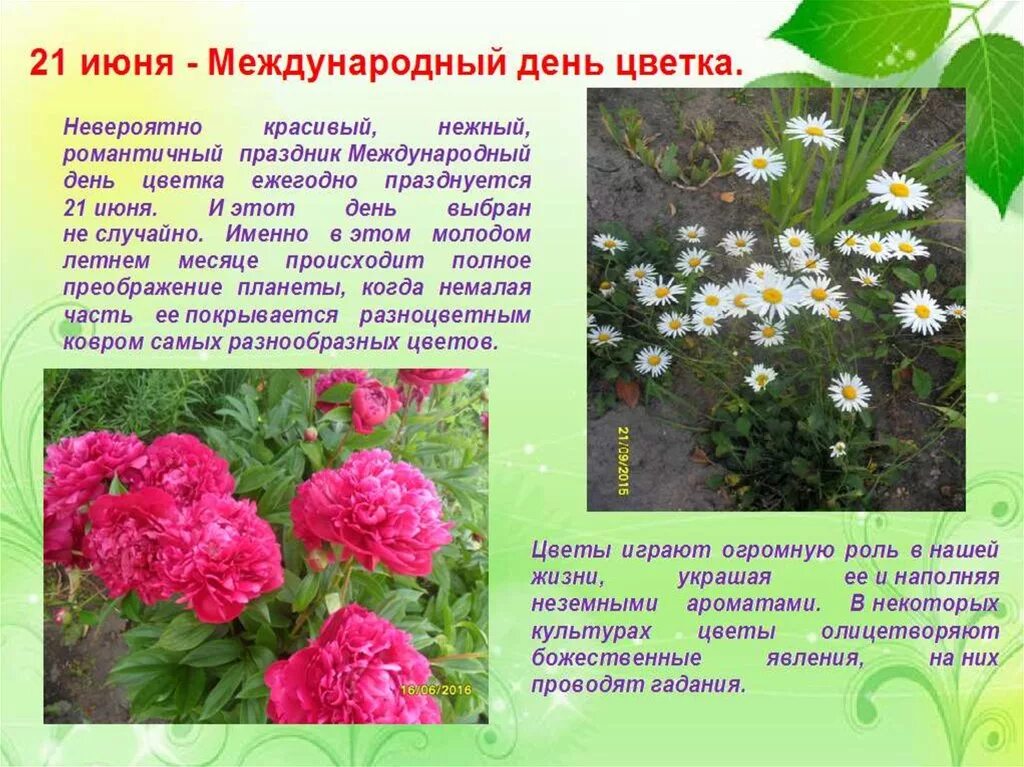 Когда день цветов. Международный день цветка. 21 июня день цветов. 21 июня отмечается международный день цветка. международный день ь цветка.