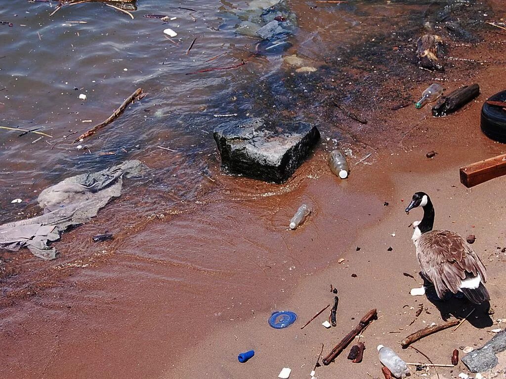 Грязная вода причины