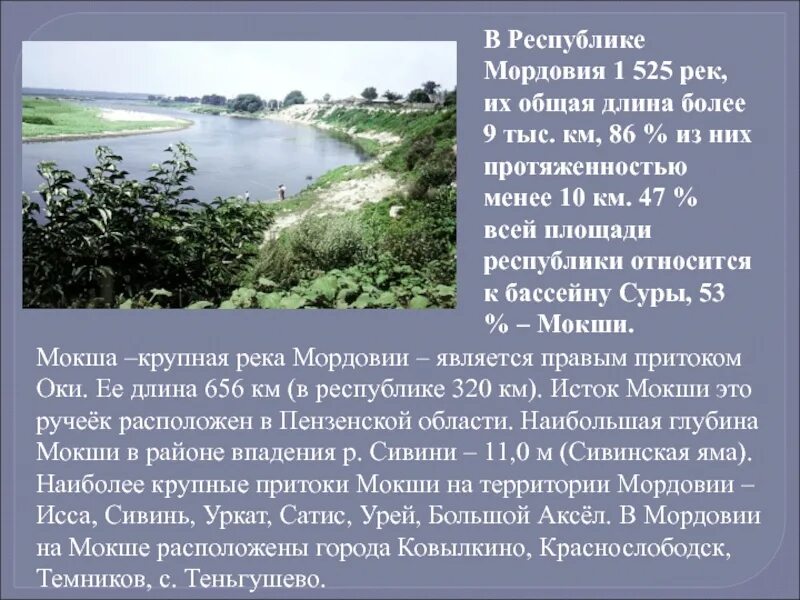 Мордовия природная зона какая. Водные богатства Республики Мордовия. Сообщение о Мордовии. Республика Мордовия доклад. Природа Мордовии презентация.