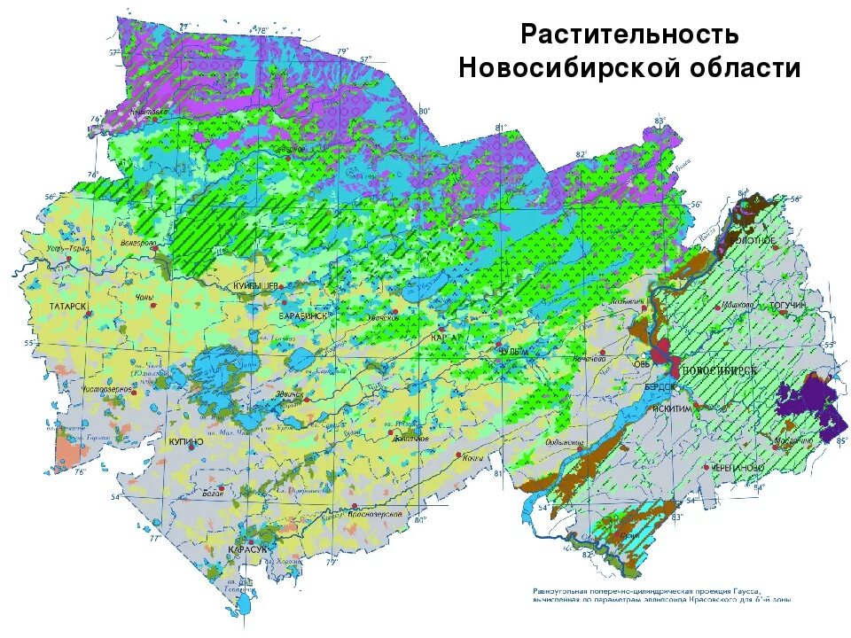 В какой природной зоне находится новосибирская. Карта растительности Новосибирской области. Карта лесов НСО. Леса Новосибирской области карта. Зоны Новосибирской области.