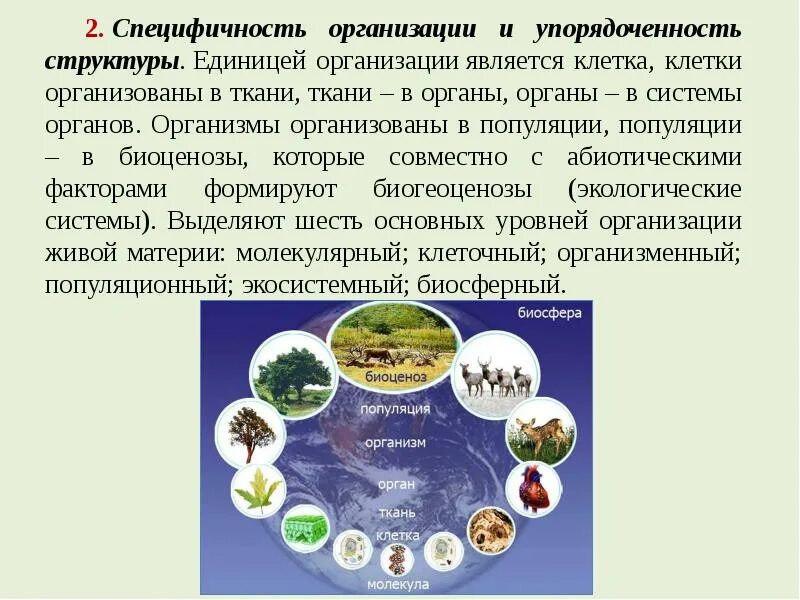 Специфичность организма. Специфичность организации это в биологии. Упорядоченность в биологии. Структурная единица биосферы. Специфичность организации живого.