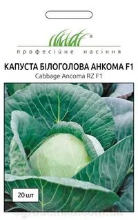 Капуста сорт анкома