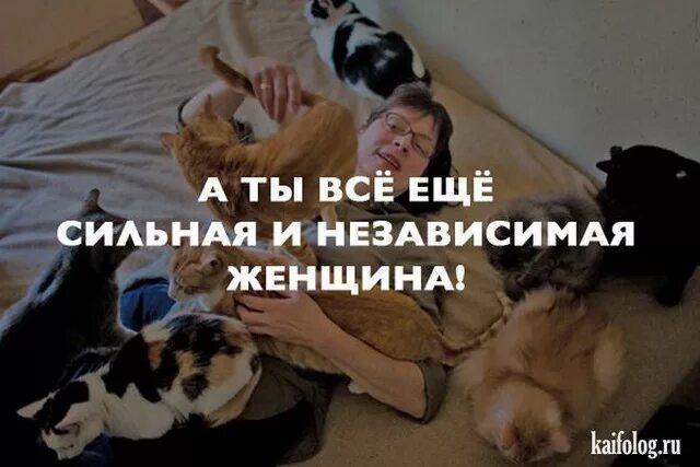 14 февраля сильной независимой женщины. День рождения сильной независимой женщины. Завтрак сильной и независимой женщины. Ужин сильной и независимой женщины. Про сильную независимую женщину.