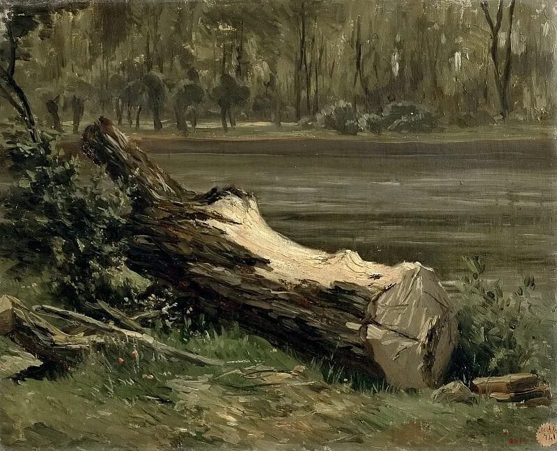 Стволы деревьев картины. Поваленное дерево в живописи. поваленное дерево картина. картина стволы деревьев. ствол дерева на картинах художников.
