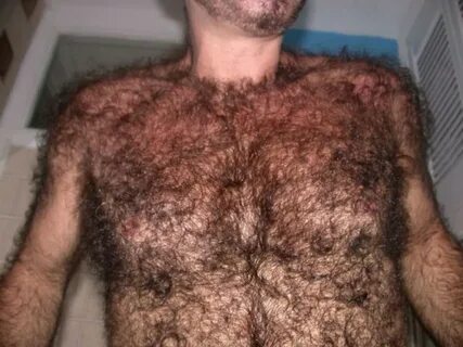 Hairy chest pics.