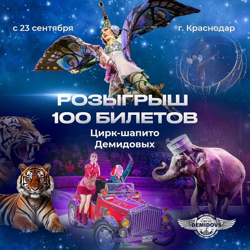 Цирк демидовых краснодар. Цирк иркутск. Цирк демидовых краснодар. Цирк демидовых воронеж билеты. Братья демидовы цирк.
