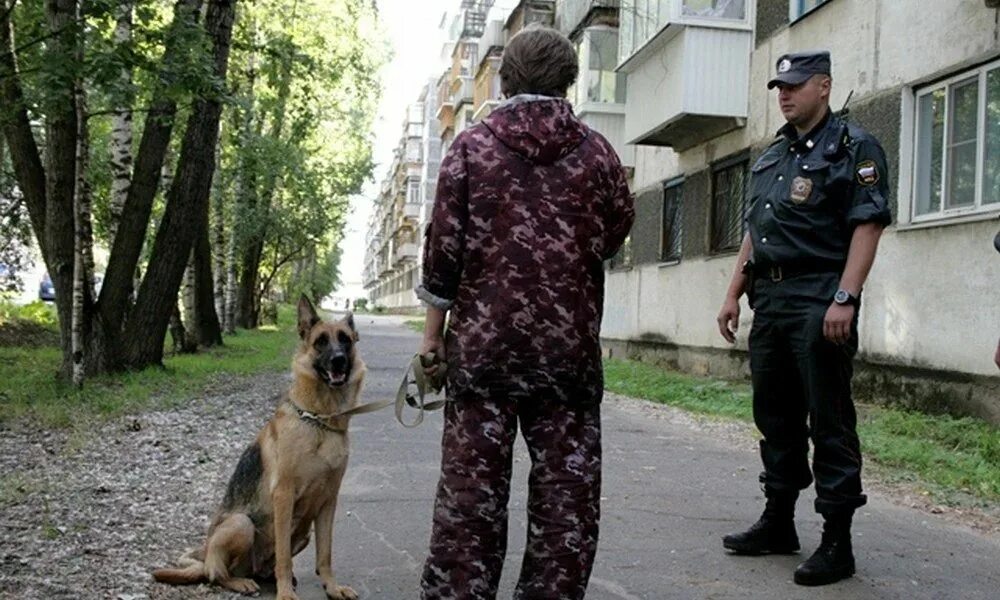 И хозяина Полицейская собака. Полицейская собака в наморднике. Собаки без прогулки. Штраф за собаку. Собаку оштрафовали