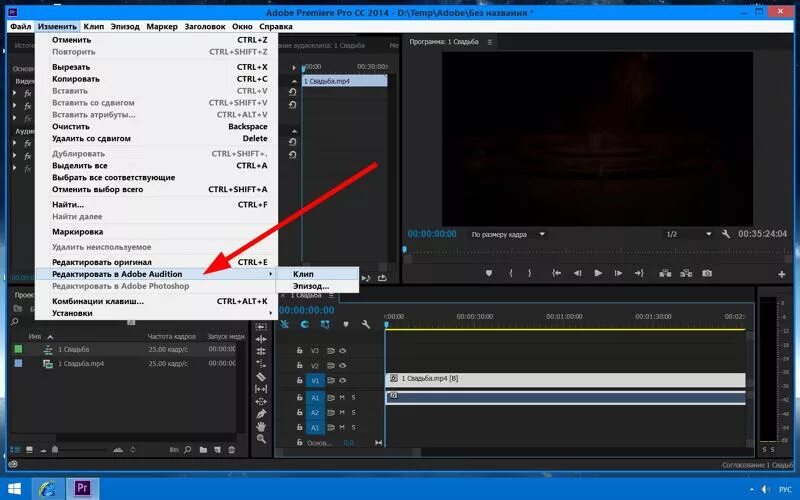 Убрать шумы звук видео. Адоб премьер про звуковая дорожка. Отображение звука в премьере. Замена звука в видеофайлах. Замена звуковой дорожки.