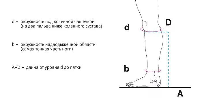 Как измерить лодыжку. Как измерить ногу для компрессионных гольф. обхват голени для гольф. измерить окружность голени для компрессионные гольф. как правильно замерить ногу для компрессионных гольф.