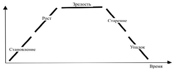 Созревание рост старение. Зрелость рынка и конкурентоспособность. Старение рост созревание.