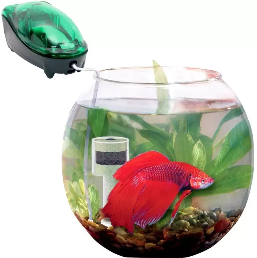 Фильтр для воды рыбкам. Aquael Gold Fish. Аквариум Aquael 20l. Аквариум Aquael для петушка. Аквариум акваэль круглый.