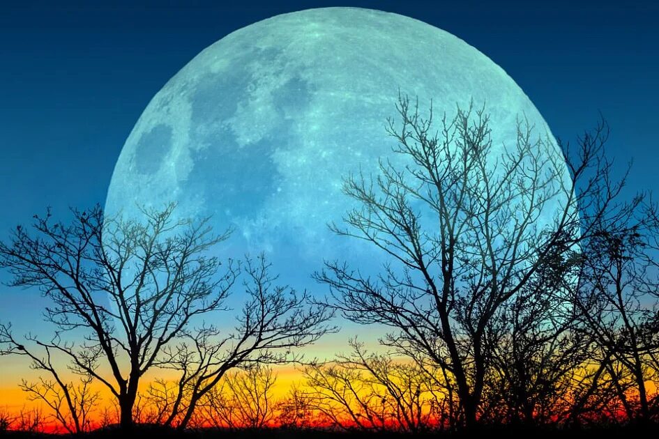 Луна фото. Когда над пустошью взойдет луна. Светлая луна. Когда над пустошью взойдет луна. Пустыня ночью.