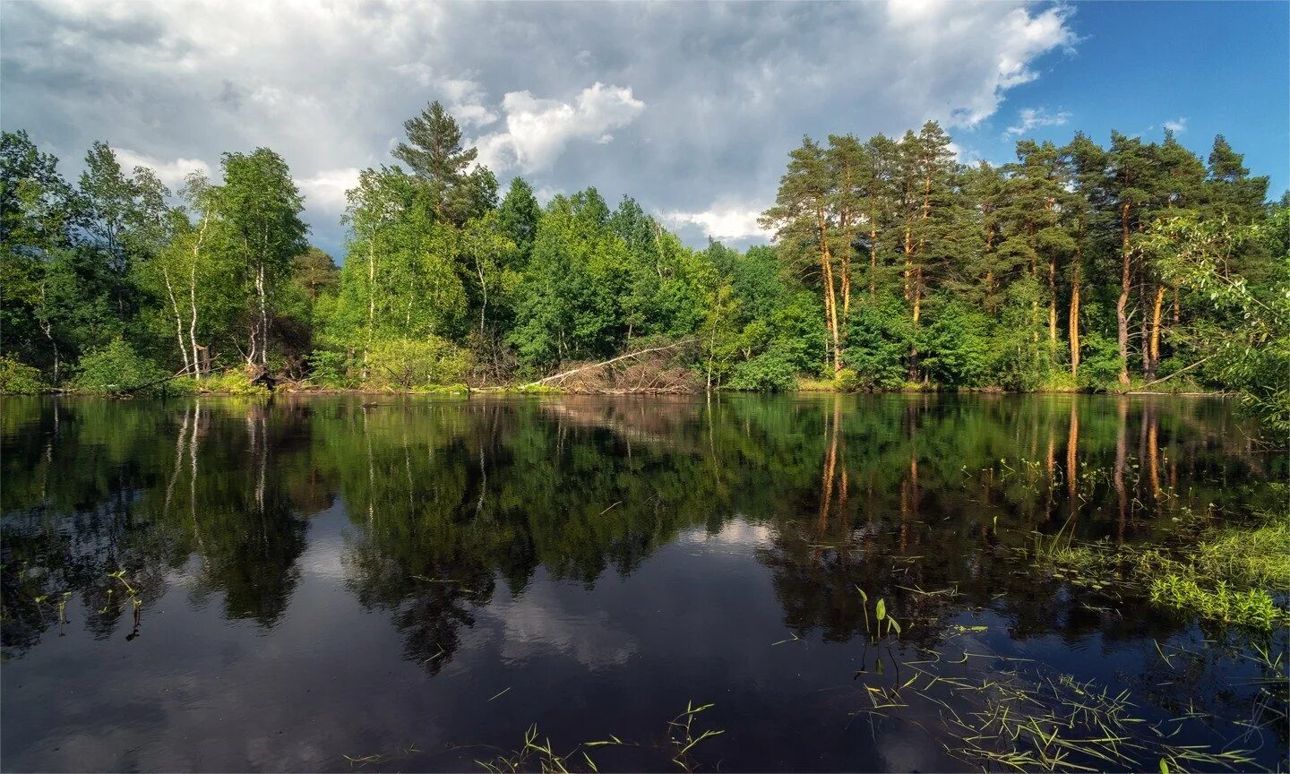 Мещера клепики. Парк мещера рязанская область. национальный парк мещера гусь-хрустальный. парк мещера гусь хрустальный. нацпарк мещера клепики.