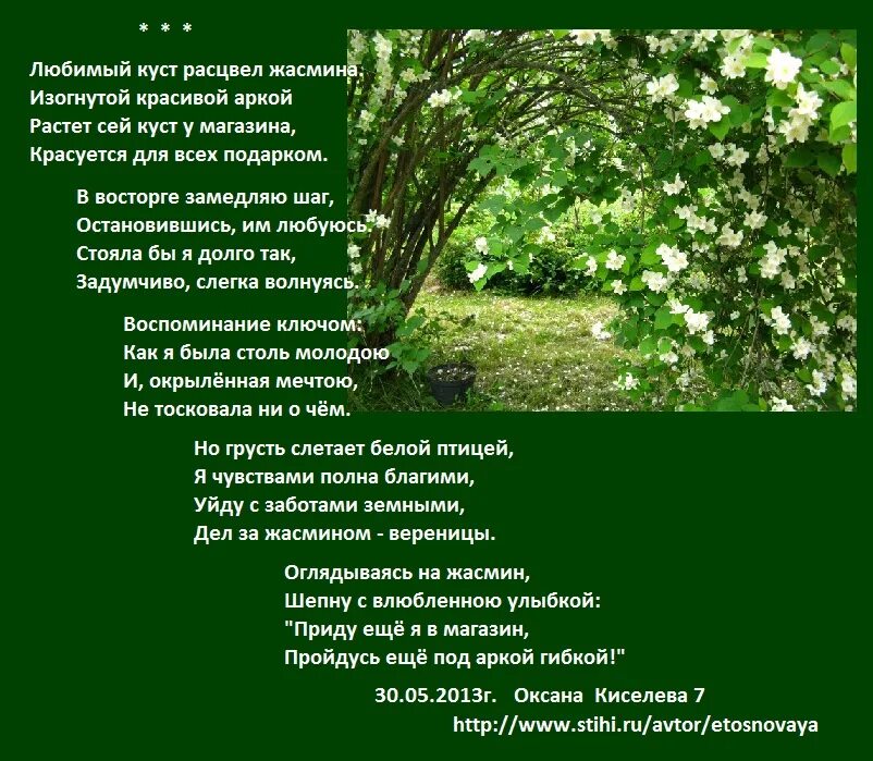 Я буду адресов текст. Красивые стихи о жасмине. Стихи о жасмине короткие.