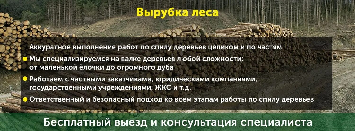 Вырубка деревьев расценка. Пути решения вырубки лесов. вырубка лесов гектарами. валка леса стоимость за гектар.