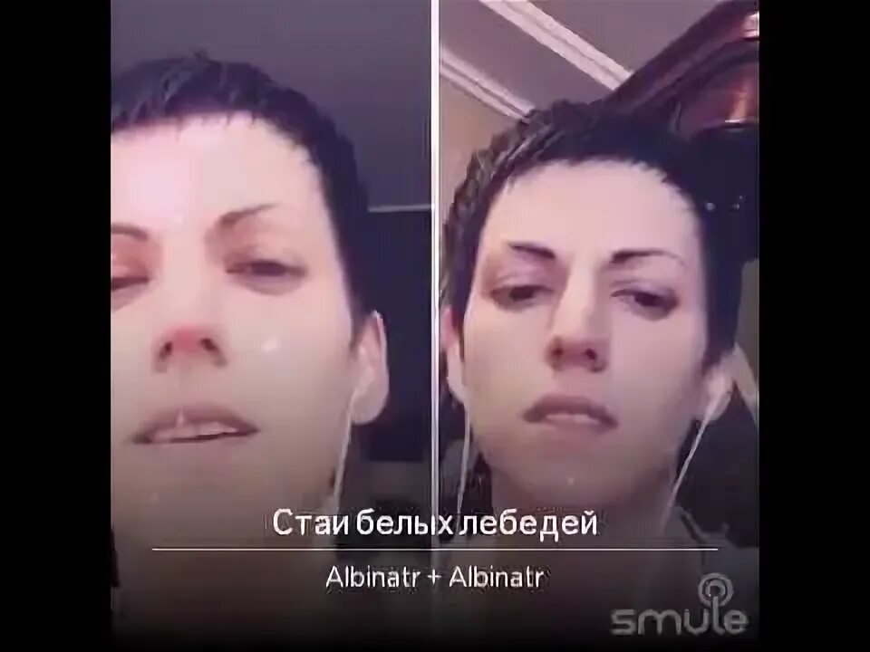 Песня белой стаей. Песня белой стаей. Песня белой стаей. Песня белой стаей. White stay.