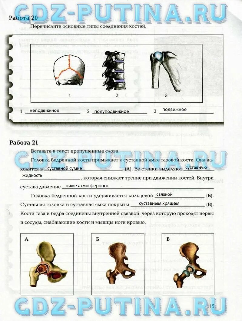 Практическая работа по биологии 8. Решебник по биологии 8 класс. Практическая работа по биологии 8 класс драгомилов. Лабораторная работа по биологии 8 класс драгомилов. Ответы по биологии 8