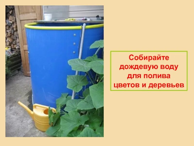 Датчик собирал дождевую. Дождевой полив растений. дачник собирал дождевую воду в бак. собрать дождевую воду в природных условиях с помощью ткани. в классе 18 учащихся для поливки сада каждая.