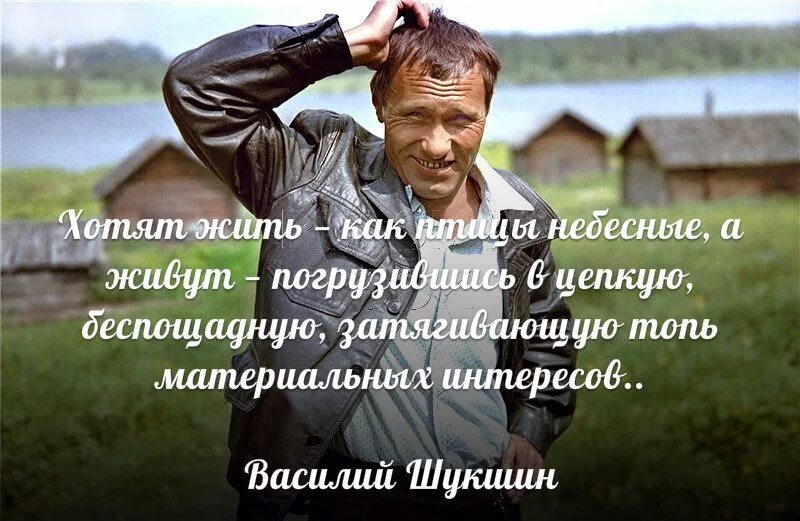 Хочется жить включи. Цитаты Василия Шукшина. Цитаты Шукшина о жизни.