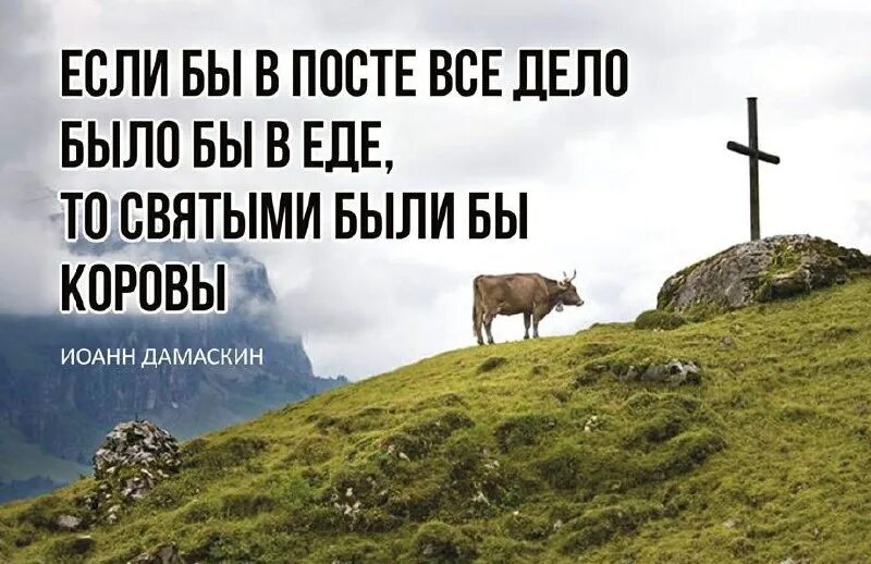 православный юмор про пост. главное не есть друг друга про великий пост. главное в пост не ешьте друг друга. самое главное в пост не есть друг друга. великий пост юмор.