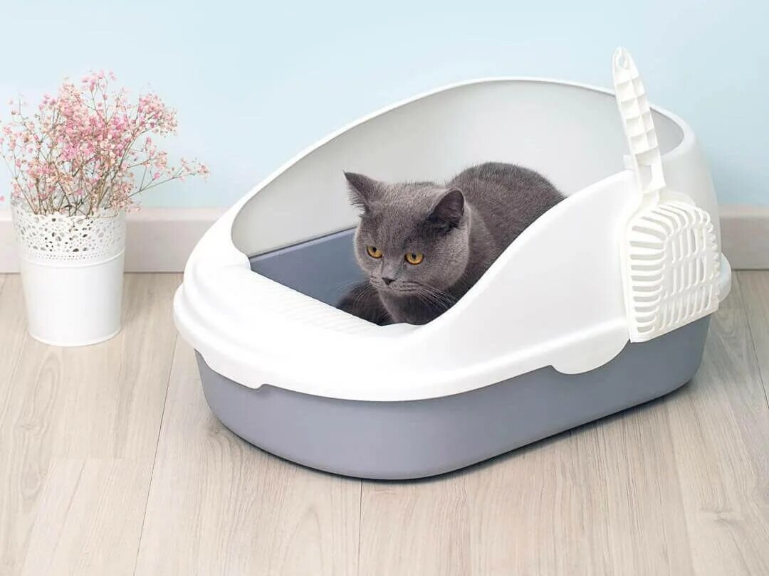 Лоток Xiaomi Cat Litter Box. Лоток для кошек Xiaomi Semi-open Cat Litter. Кошачий туалет Xiaomi Semi-open Cat Litter. Туалет Xiaomi Semi-open Cat Litter для кошек White CN. Какой лоток лучше для кошки