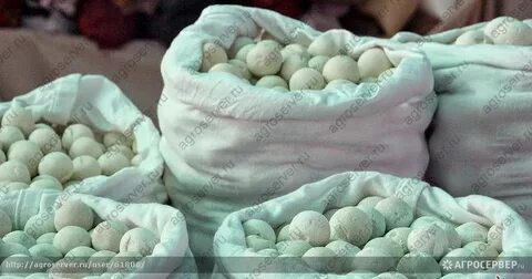Курт драгоценный камень