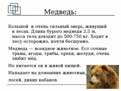 Сообщение о диком