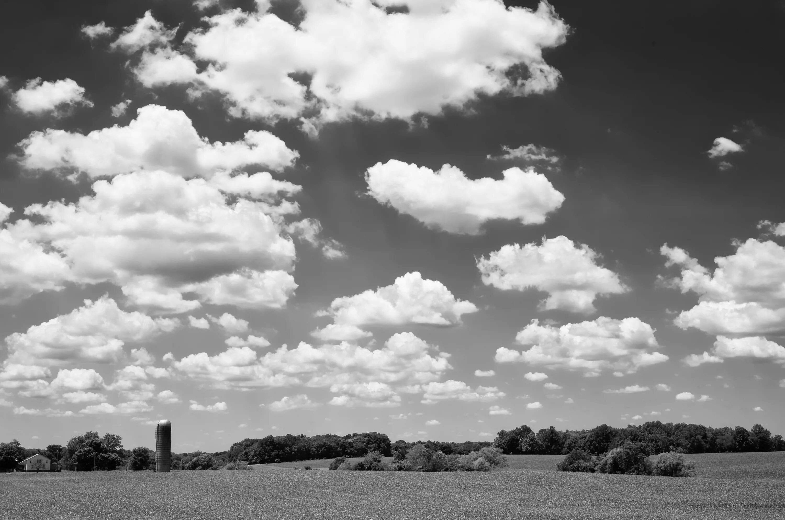 Monochrome sky
