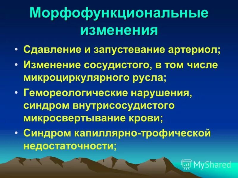 изменения морфофункциональных свойств организма человека. морфофункциональная характеристика эндокринной системы. физическое развитие это процесс. процесс изменения морфофункциональных свойств организма. принципы формирования адаптации в процессе тренировки.