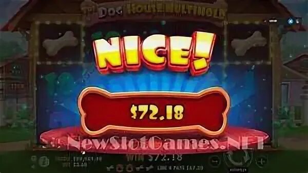 Slot dog house 1win на реальные деньги