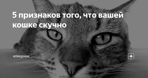 Дергать усы
