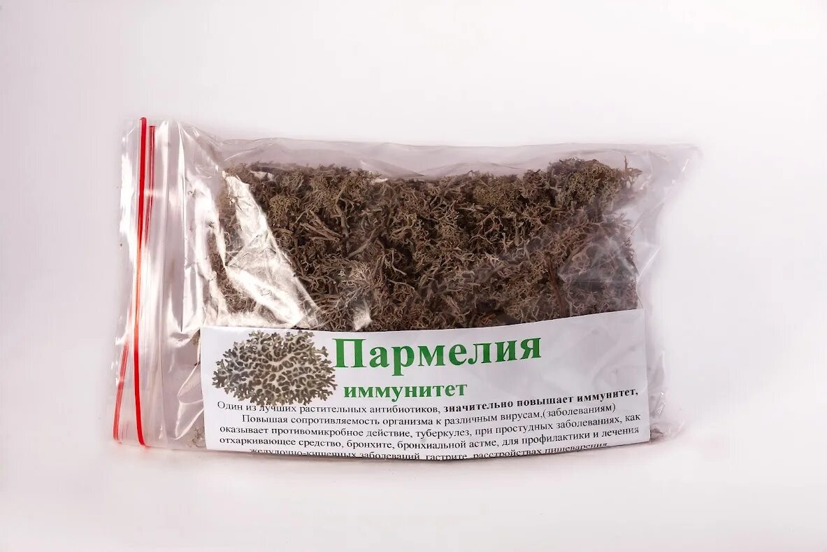 Пармелия трава для чего используется. Пармелия препарат. пармелия трава. травка пармелия. трава пармелия от кашля.