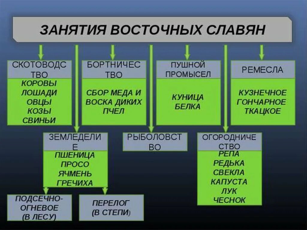 Занятия восточных славян таблица. Занятие восточных славян таблица по истории 6 класс. Занятия восточных славян таблица 6 класс. Таблица по истории восточные славяне и их соседи. Расселение занятия верования восточных славян