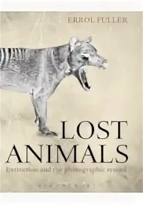 Lost the animals. Animal Lost. Black book animals. Extinct animals book. Объявление Lost animals.