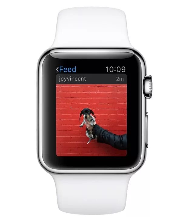 Установить приложение для часов apple. Инстаграм на Эппл вотч. Инстаграм на часах АПЛ вотч. Приложение Инстаграм для Эппл вотч. Картинки с watch Apple для инстаграмма.