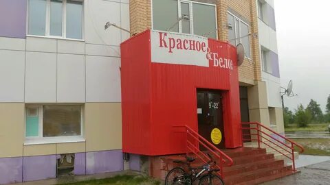 Белых губкин