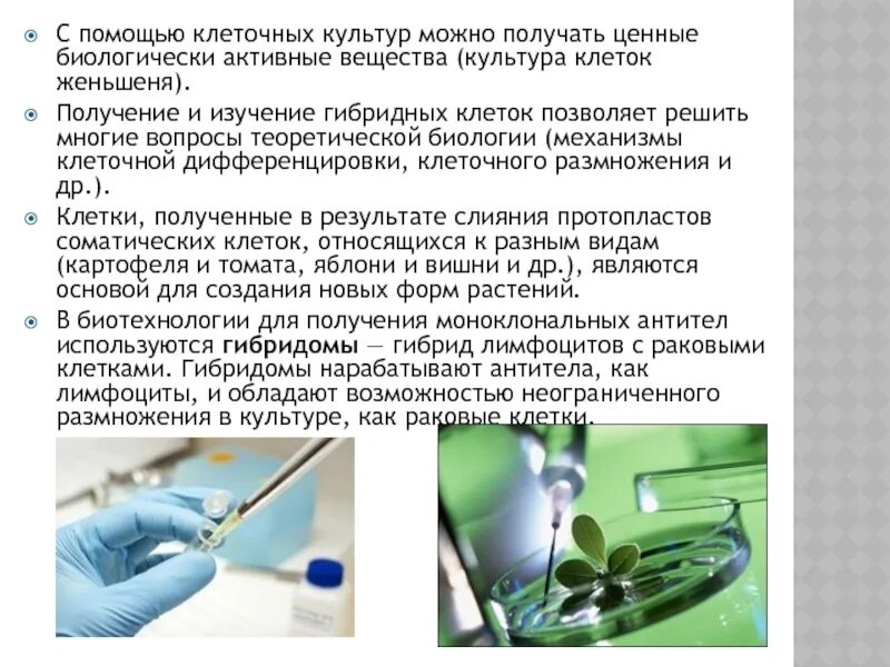 Для получения гибридом используют