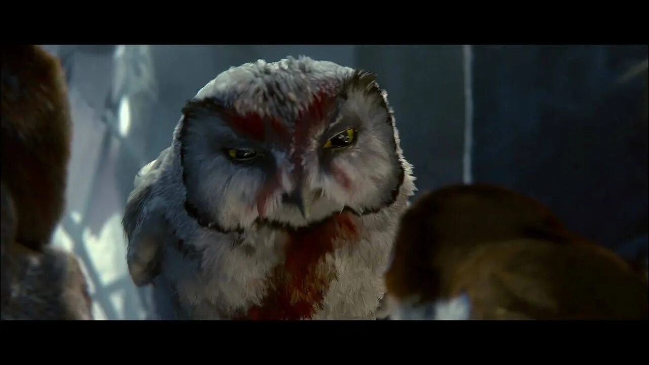 Ga hoole guardians the owls legend. Легенды ночных стражей Отулисса. Ночные Стражи Гримбл. The Owl фильм 2014. Легенды ночных стражей трейлер.
