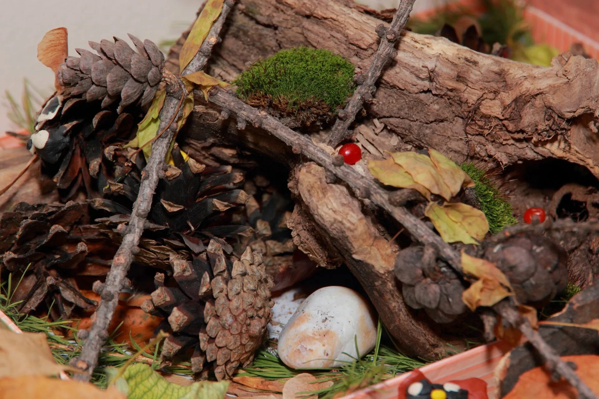 Природных материалов в данном. Осенняя композиция из природных материалов. Природный материал для поделок. Природный материал для поделок. Поделки осень.